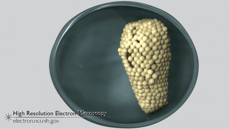 Formation of the HIV Core