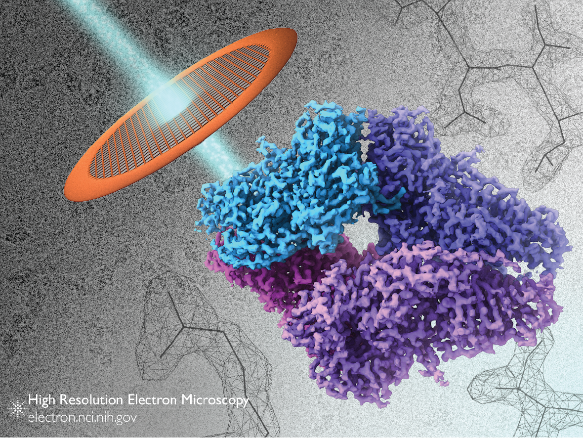 Visualizing Proteins with Cryo-EM