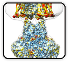 Single-particle cryo-EM structure of a voltage-activated potassium channel in lipid nanodiscs