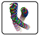 Complexes of neutralizing and non-neutralizing affinity matured Fabs with a mimetic of the internal trimeric coiled-coil of HIV-1 gp41