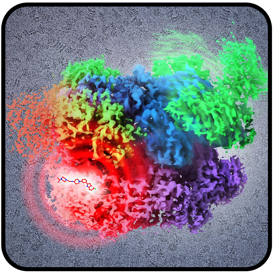 A Ray of Molecular Beauty from Cryo-EM – NIH Director's Blog